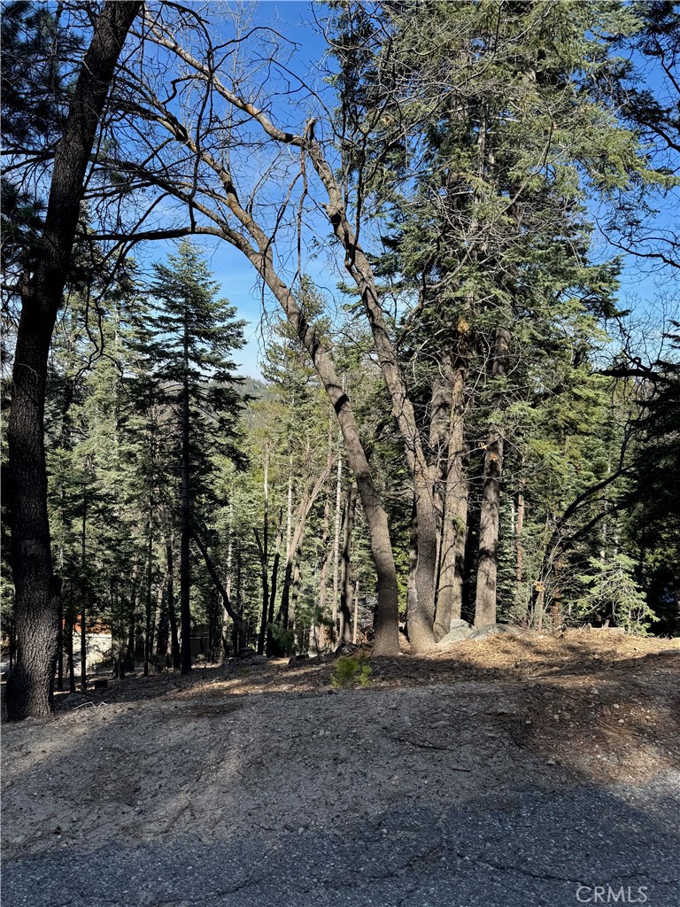 Build Your Dream Home in Lake Arrowhead!
Discover the perfect opportunity to create your ideal residence in the scenic Lake Arrowhead area. This spacious lot boasts over 10,000 square feet and is located within the exclusive Lake Arrowhead Lake rights community, just off a private access road for added privacy.
With easy access to utilities, this gently downslope lot offers both level entry and convenient garage placement options. Enjoy breathtaking mountain views from your future home, nestled in a tranquil golf course neighborhood.
Additionally, the land comes with a generous $23,000 credit with LACSD, providing you a significant advantage for obtaining a water meter. Don’t miss out on this chance to own a piece of paradise in Lake Arrowhead!