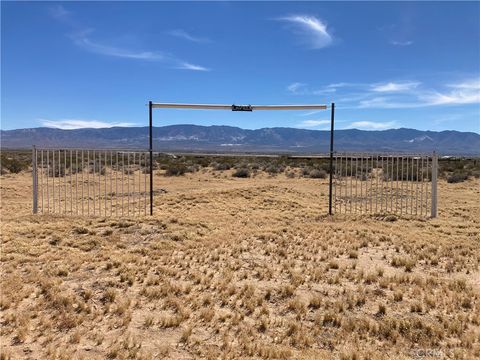 Photo of 0 Rock Rose Court, Lucerne Valley, CA 92356 (MLS # OC26084242)