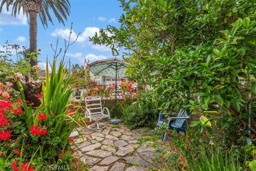 34746 Calle Fortuna