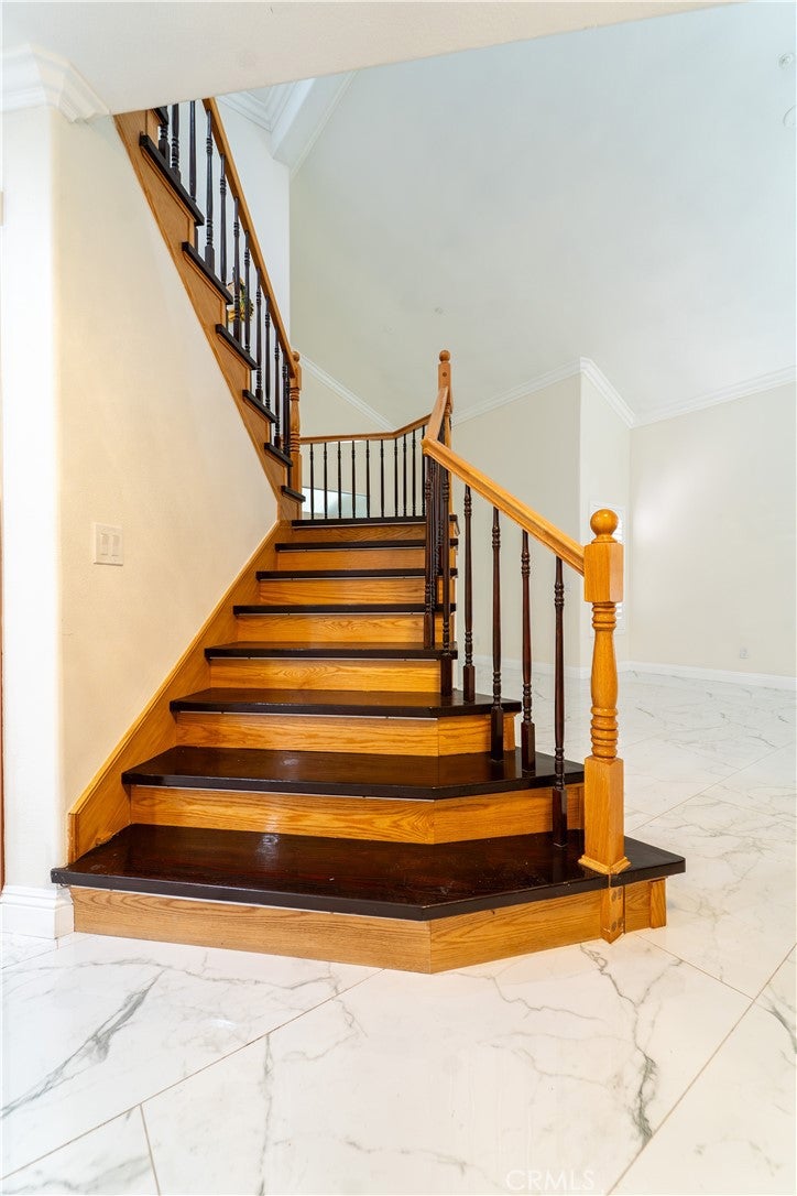 7497 Star Pine circle