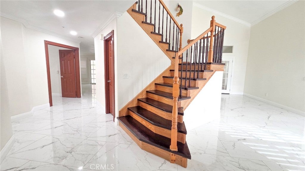 7497 Star Pine circle
