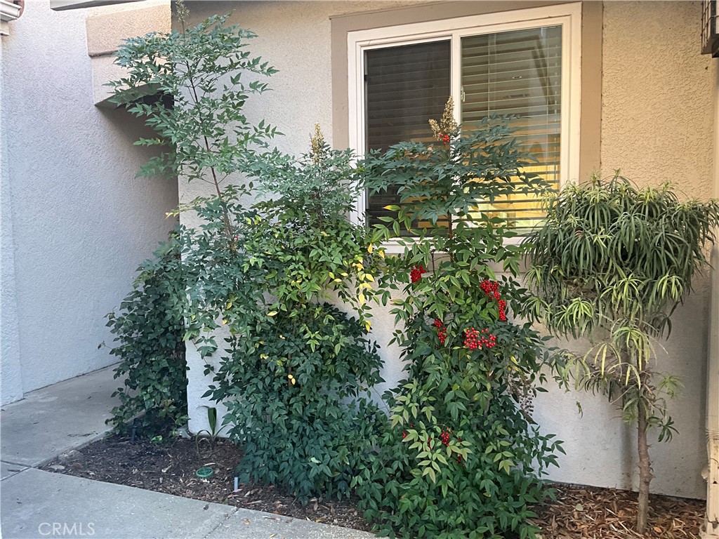 248 California Court