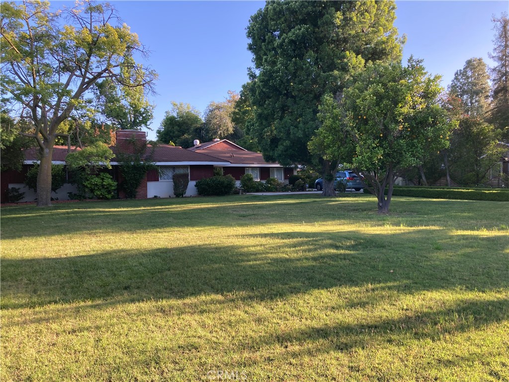 23540 Collins