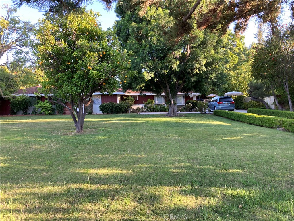 23540 Collins