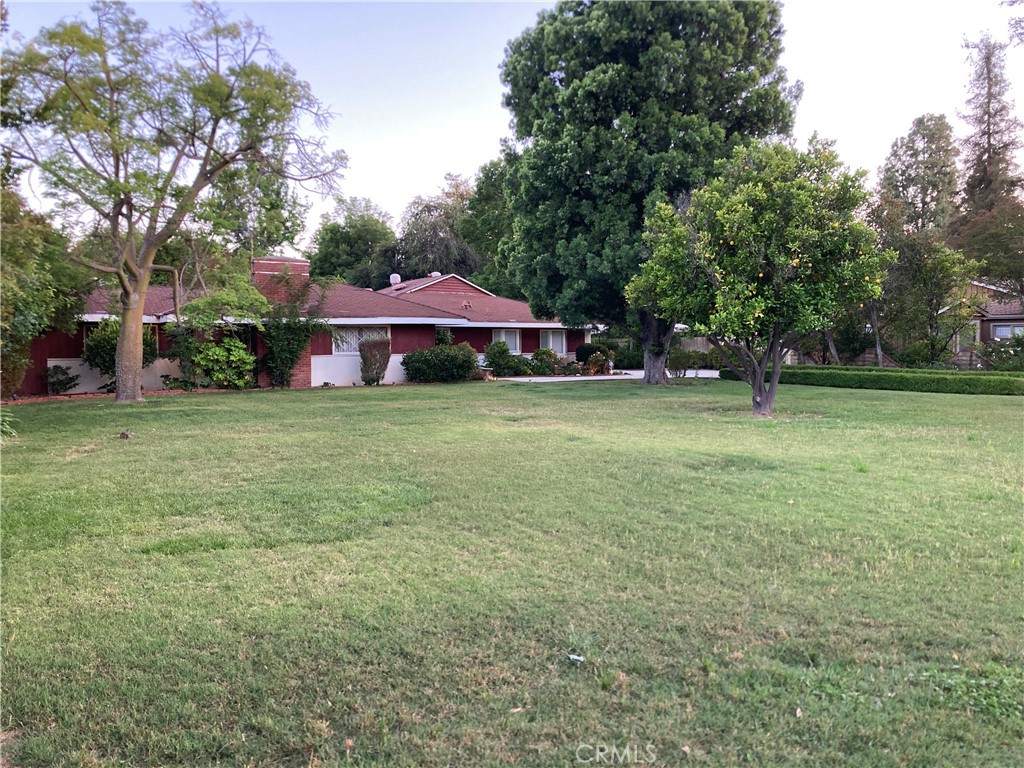 23540 Collins