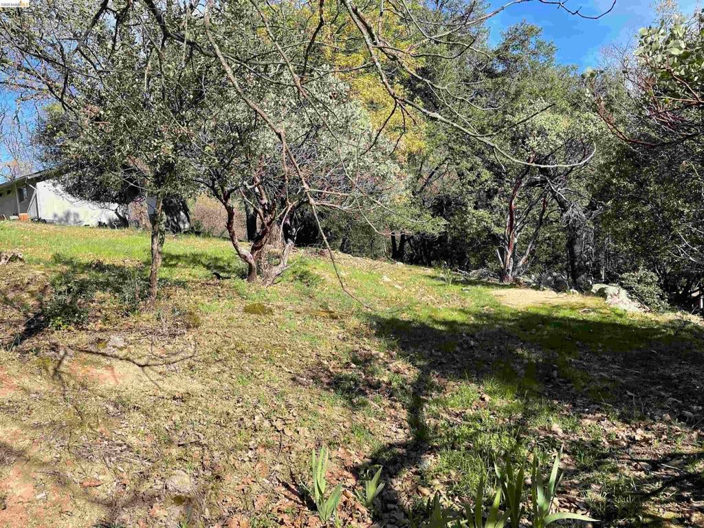 16505 S Creekside Dr