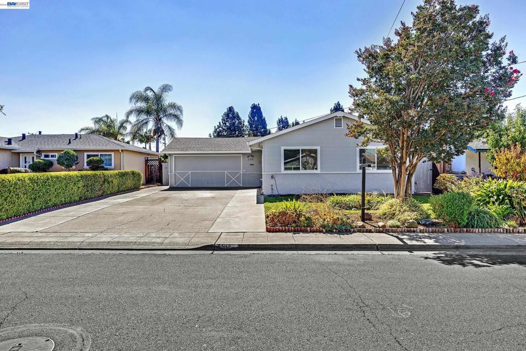 135 Teddy Drive