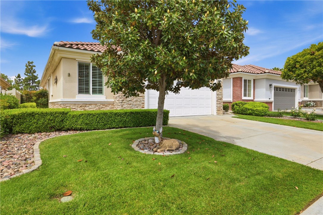 1667 Scottsdale