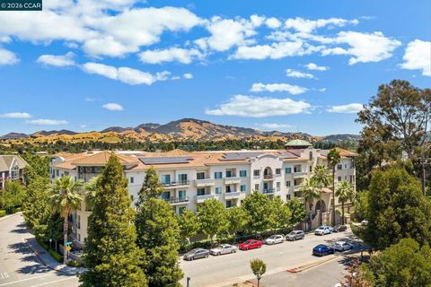 Photo of 1315 Alma Ave #333, Walnut Creek, CA 94596 (MLS # 41135218)