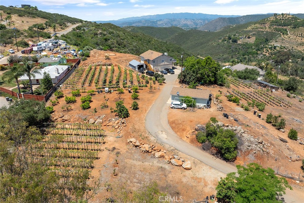 Welcome to this breathtaking Dragonfruit Farm and View Estate in beautiful Fallbrook, San Diego County.
This incredible property features approximately 1,500 mature dragon fruit trees—with room to expand up to 10,000.
Nestled on the land is a gorgeous, estimated 2,440 sq. ft. home with panoramic views—perfect for peaceful living or generating monthly rental income.
Whether you're looking to invest, farm, or find your dream family retreat, this property is packed with potential.