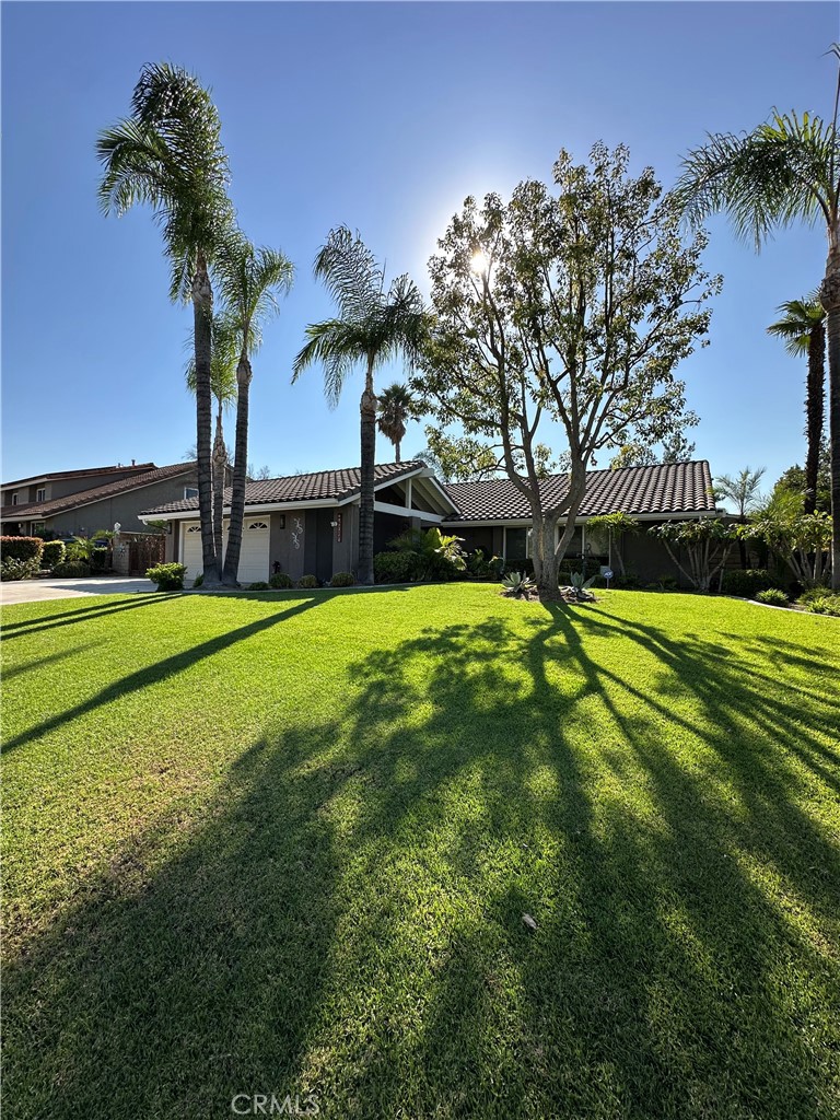 Charming Single-Story in Desirable Canyon Crest! This 3-bed home boasts character, abundant storage, and a beautiful backyard with mature avocado and guava trees. Enjoy two patio areas, including one off the sunroom, and gorgeous backyard views. The primary suite features a private sauna, and the versatile sunroom can be a game room, office, or lounge. Two sheds, attic storage, a jet tub, and a wide driveway add convenience. Includes bonus smart TVs, washer/dryer, and 2 refrigerators (as-is). Wide driveway offers plenty of parking. Garage has direct home access.