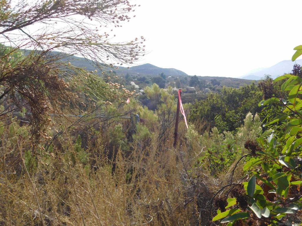Honey Springs Rd