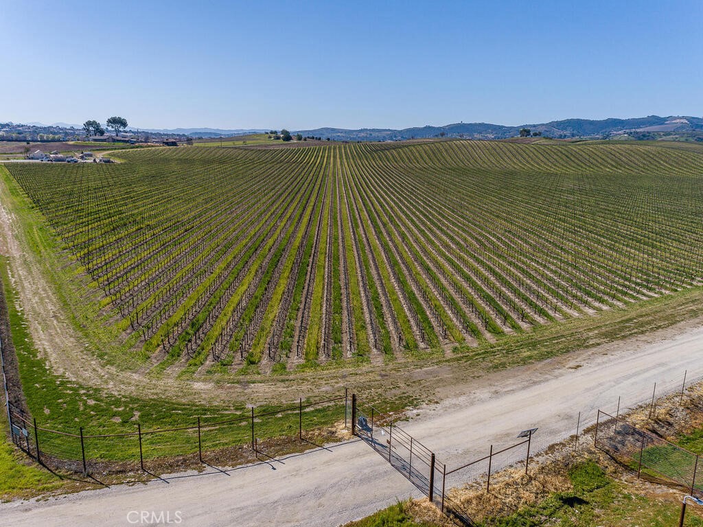 3925 Buena Vista Drive