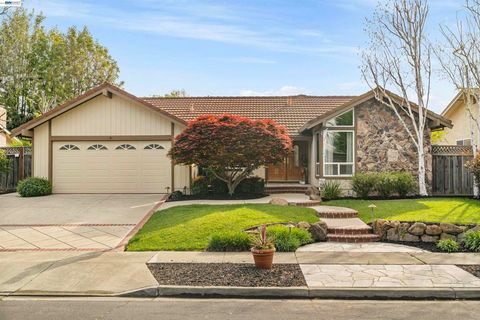 Photo of 5534 Blackbird Dr Dr, Pleasanton, CA 94566 (MLS # 41127135)