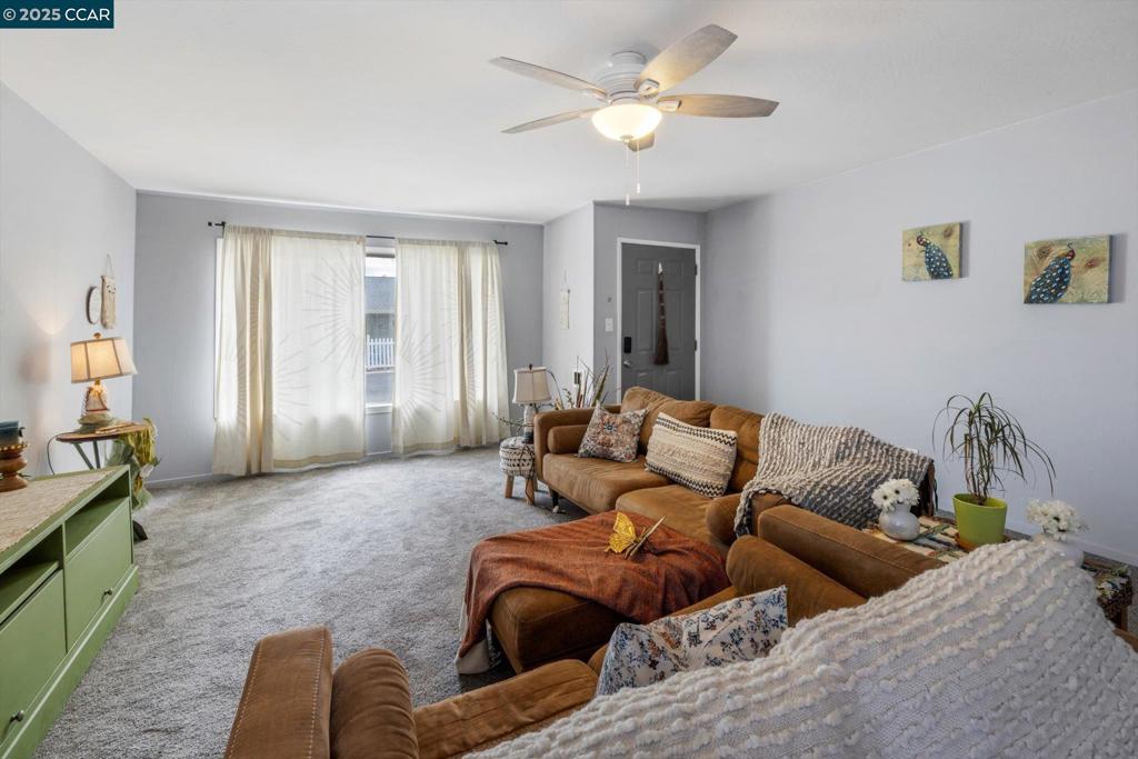 MARINA - Residential