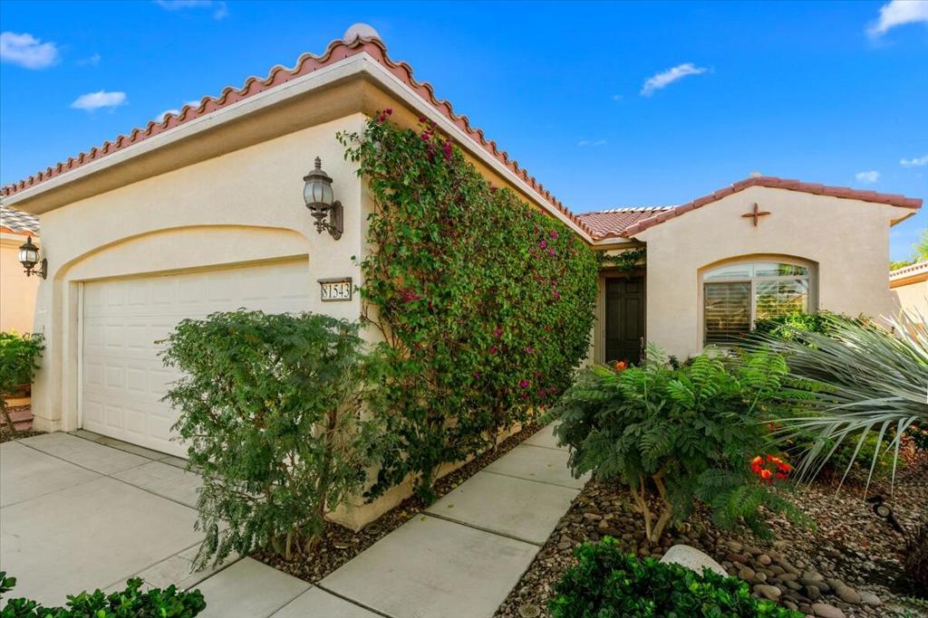 81543 Avenida De Baile