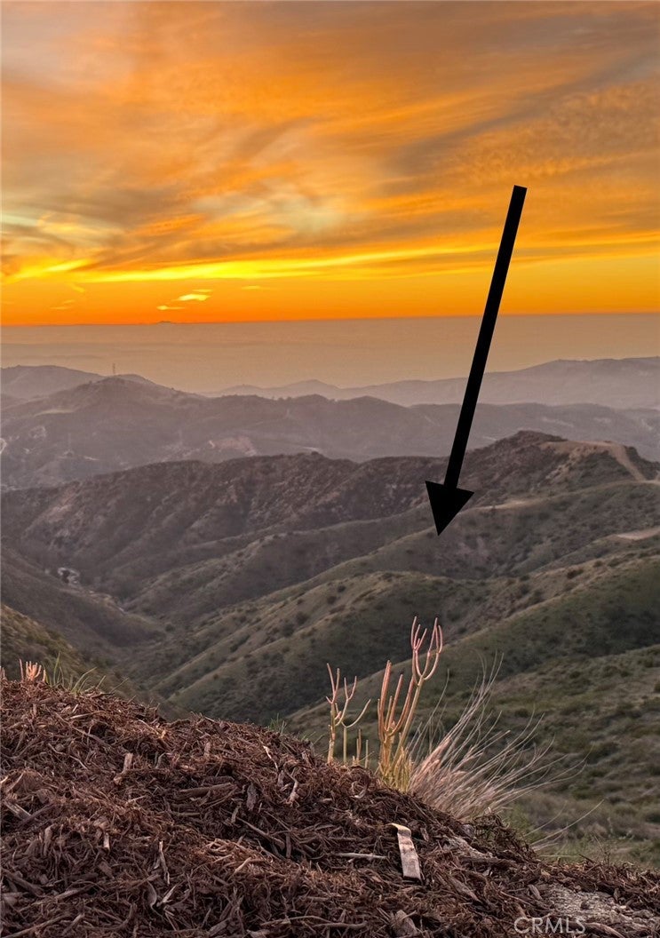16 Williams Canyon