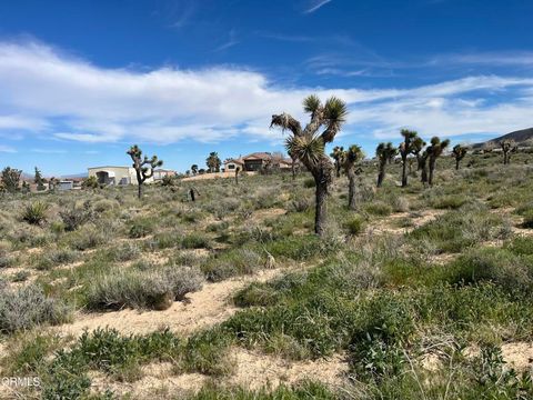 Photo of 0 Bowen Ranch Road, Apple Valley, CA 92308 (MLS # P1-26100)