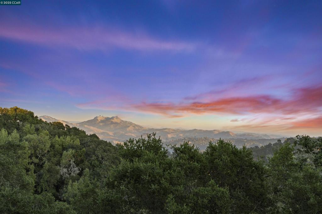 ORINDA DOWNS - Residential