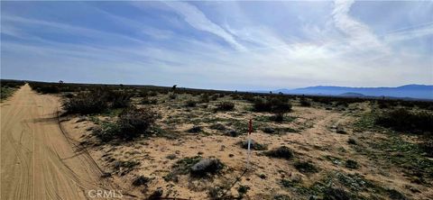 Photo of 22500 E Avenue M, Lancaster, CA 93535 (MLS # DW26043941)