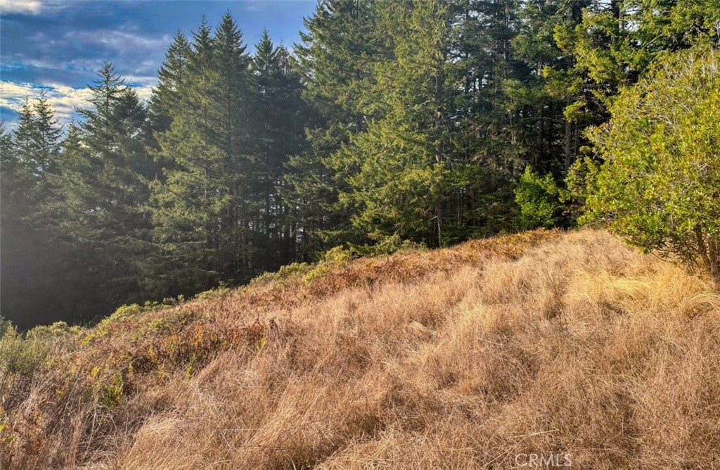 449 Drovers