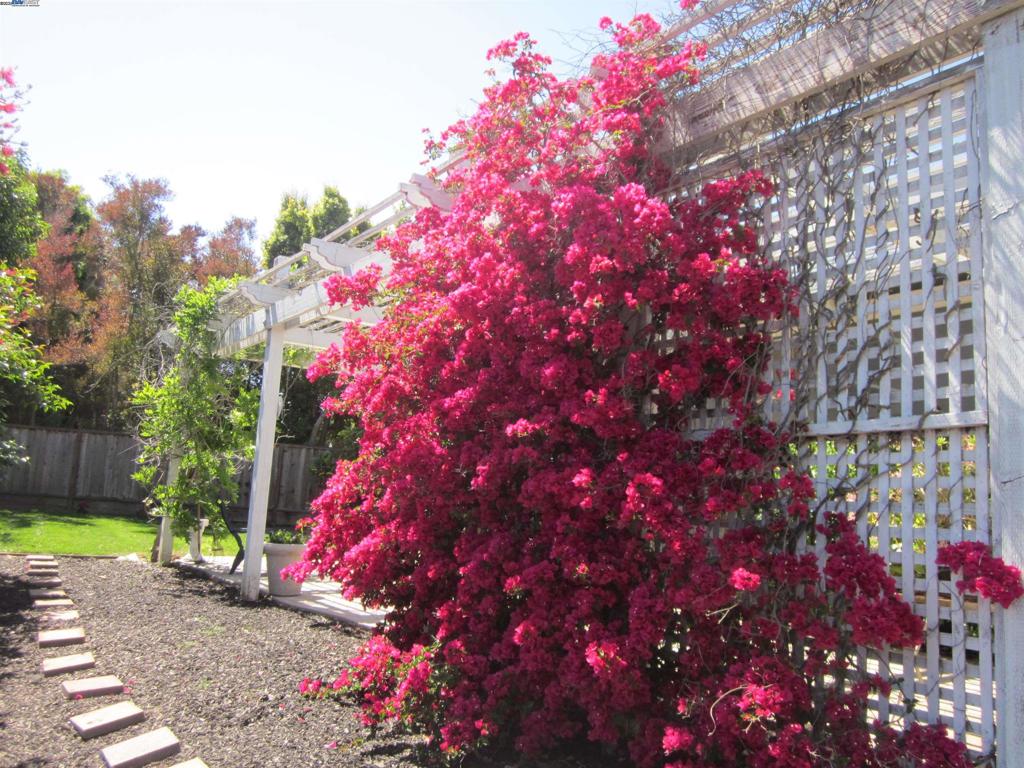 FAIRVIEW HILLS - Residential