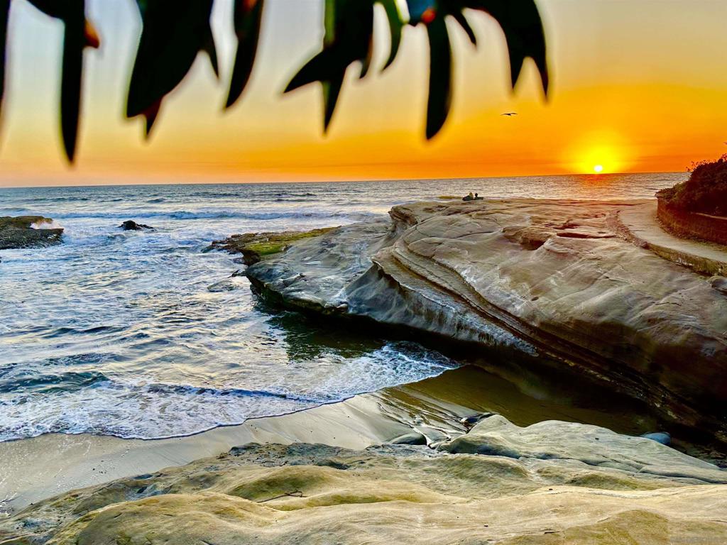 Ocean Beach - Residential Income