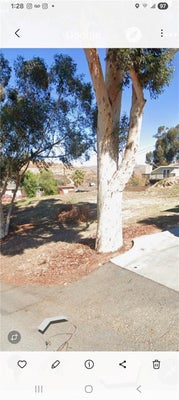 ADDRESS PRIVATE, LAKE ELSINORE, CA  - Image e2ef0c6a05e56e7e2b41d0ab64a9a445/1269849405