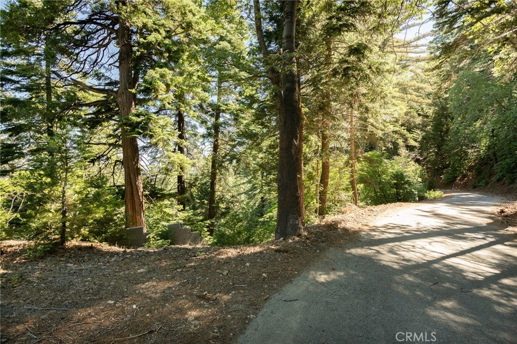 746 Blue Ridge Drive