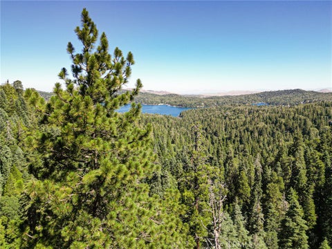 Photo of 746 Blue Ridge Drive, Lake Arrowhead, CA 92385 (MLS # OC26139815)