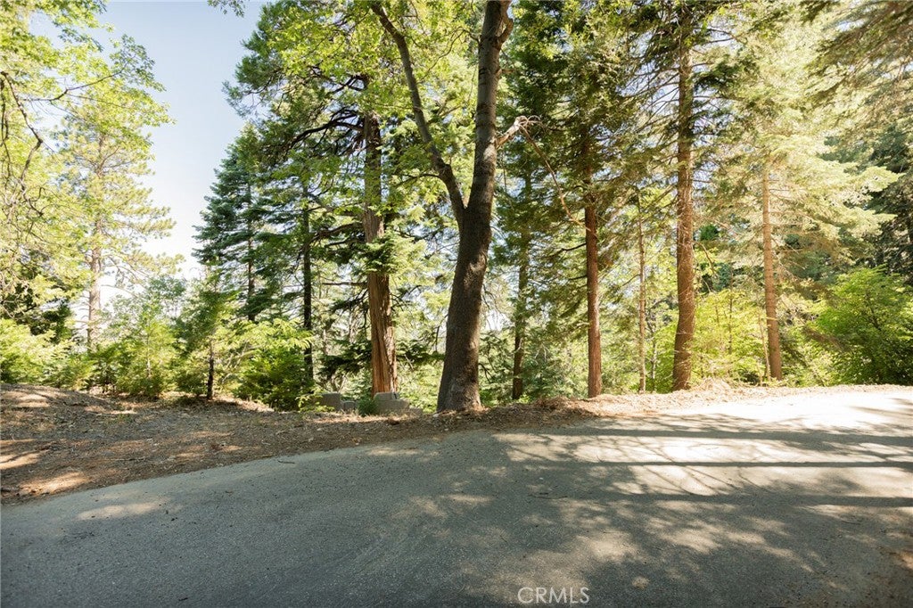 746 Blue Ridge Drive