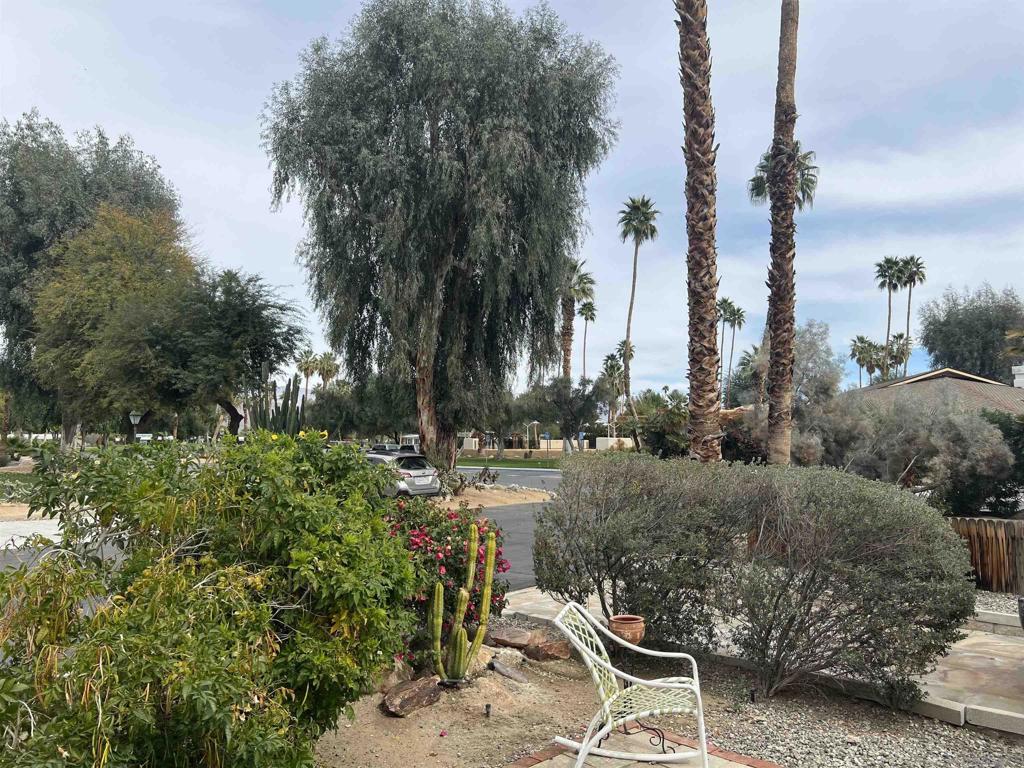 1010 Palm Canyon Dr 84
