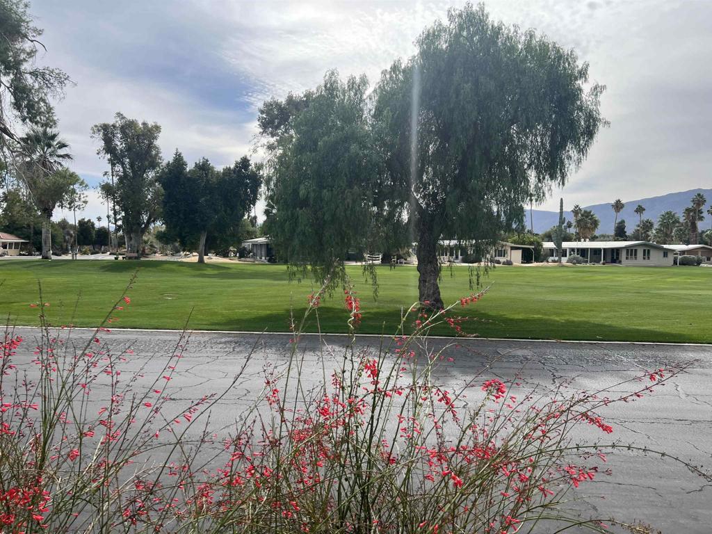 1010 Palm Canyon Dr 84