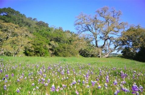 Tiny photo for 0 Old Creek Road, Cayucos, CA 93430 (MLS # SC25189165)