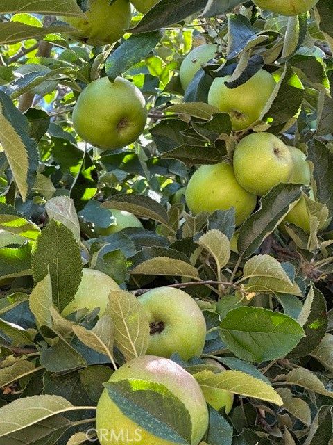 Tiny photo for 0 Old Creek Road, Cayucos, CA 93430 (MLS # SC25189165)