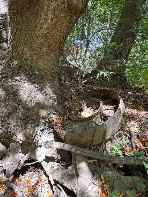 Tiny photo for 0 Old Creek Road, Cayucos, CA 93430 (MLS # SC25189165)