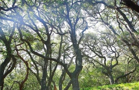 Tiny photo for 0 Old Creek Road, Cayucos, CA 93430 (MLS # SC25189165)