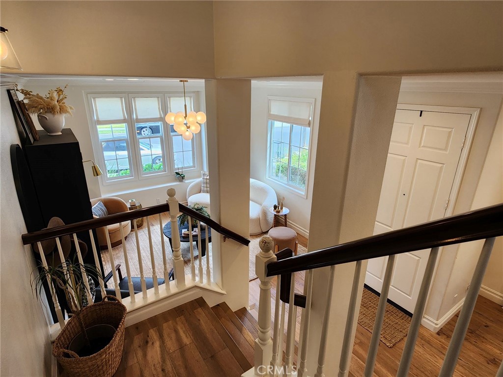 11 Duskywing Court
