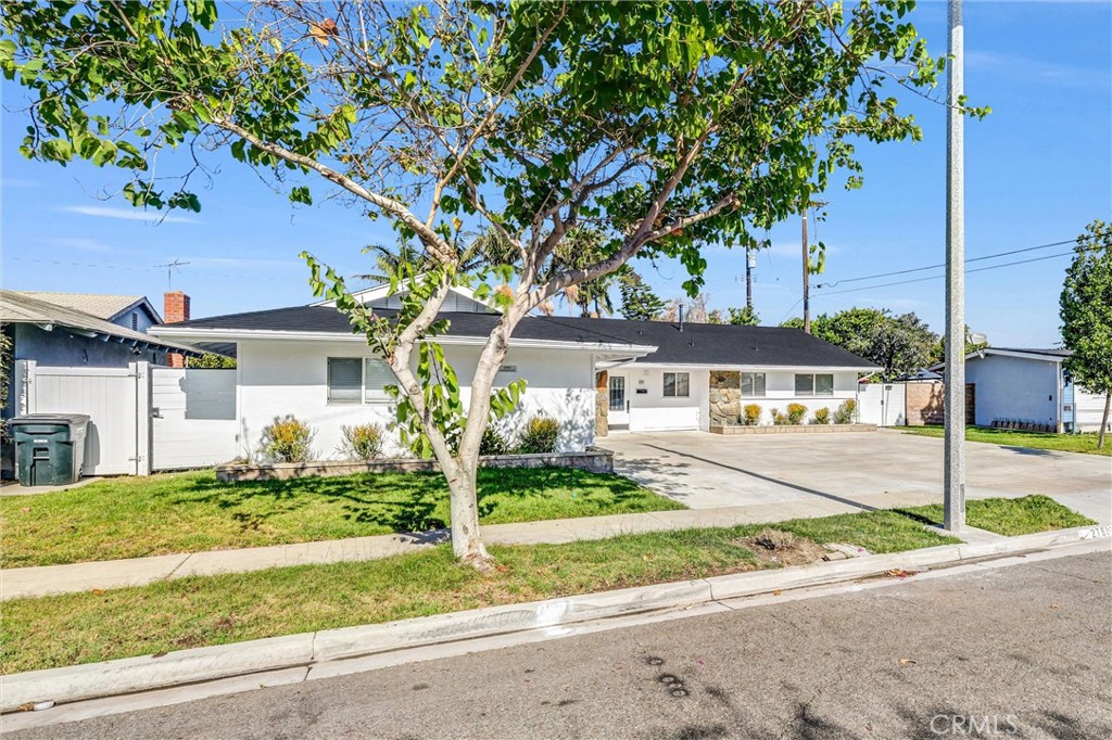 2751 San Carlos