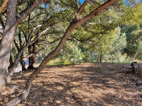 Photo of 2117 Alder Court, Pine Mountain Club, CA 93222 (MLS # SR26224589)