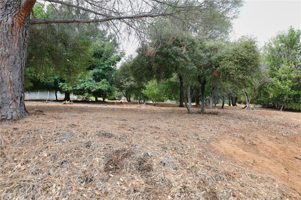 3407 Toyon Ct