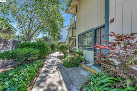 Photo of 2500 Copa Del Oro Dr Dr, Union City, CA 94587 (MLS # 41131611)