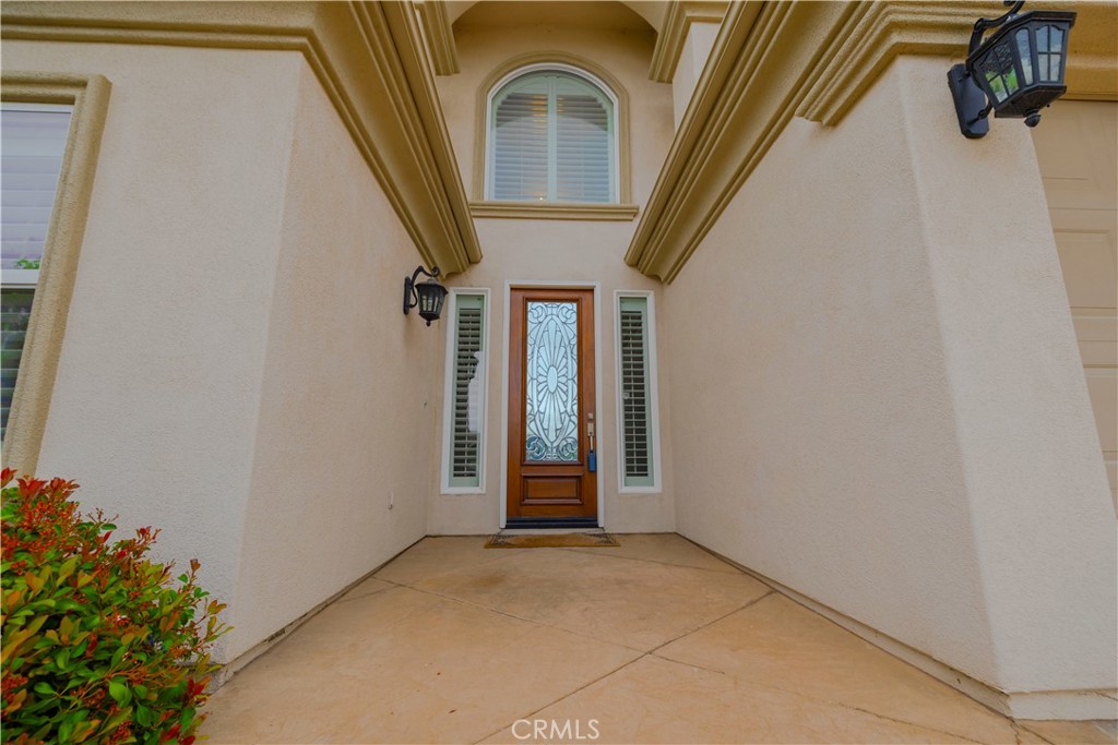 29515 Longhorn Drive
