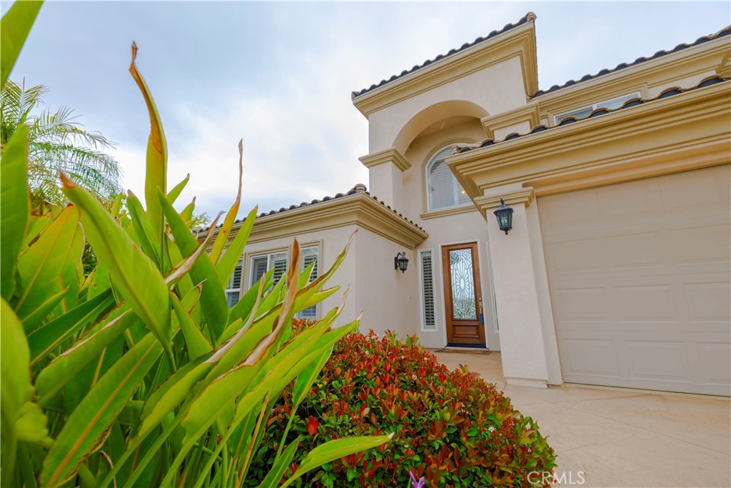 29515 Longhorn Drive