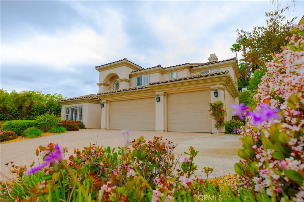 29515 Longhorn Drive