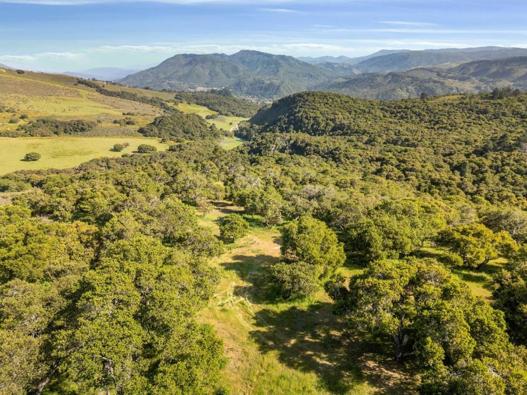 75 Este Alomar (Lot 56)