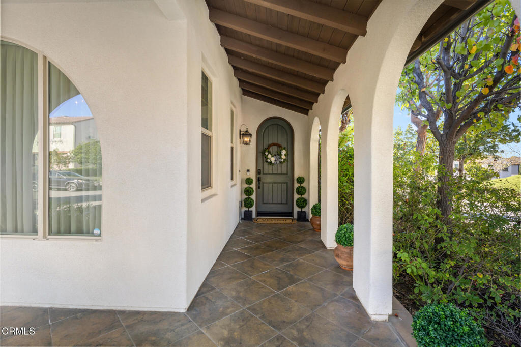 706 E Lemon Swirl Drive