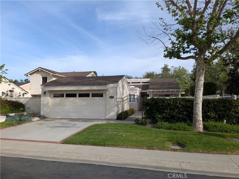 24356 Borrego Court Laguna Niguel CA 92677