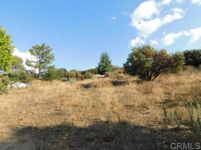 29949 Canadian Honker Road