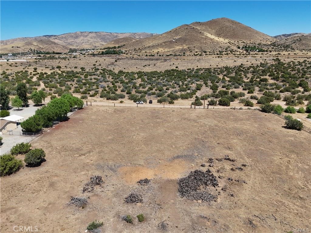 Custom Acton (CACTO) - Land